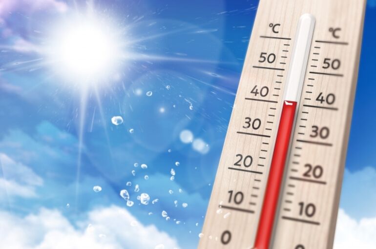 夏の日差し
